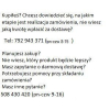 STAPIZ SZAMPON SLEEK LINE Z JEDWABIEM 1L JEDWAB   